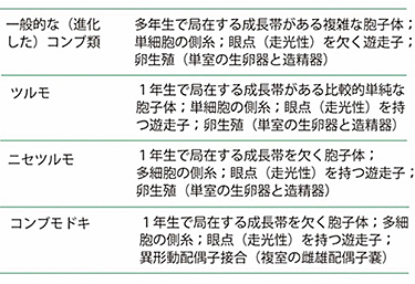 表1　一般的なコンブ類，ツルモ，ニセツルモ，コンブモドキの形態学的特徴．