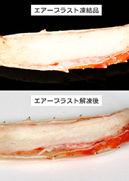 写真3. エアーブラスト（冷風式急速凍結）での凍結時と解凍時の状態（かにの場合）