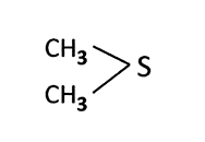 図3　ジメチルスルフィド