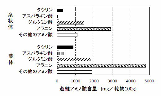 図2. スサビノリ糸状体と葉体における主要遊離アミノ酸の蓄積