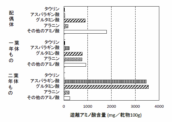 図6. マコンブ配偶体と葉体(1年もの、2年もの)における主要遊離アミノ酸の蓄積