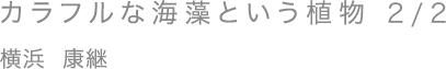 カラフルな海藻という植物 2/2／横浜 康継