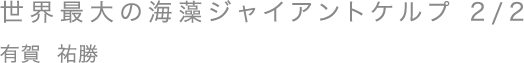 世界最大の海藻ジャイアントケルプ 2/2／有賀 祐勝