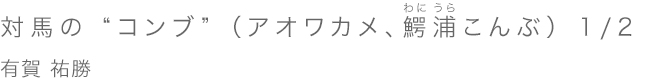 対馬の “コンブ” （アオワカメ、鰐浦こんぶ） 1/2 