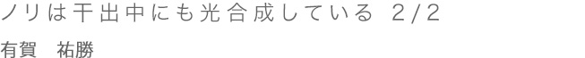 ノリは干出中にも光合成している 1/2 