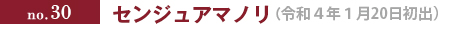 no.30 センジュアマノリ（令和4年1月24日初出）