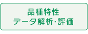 品種特性データ解析・評価