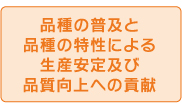 品種の普及と品種の特性による生産安定及び品質向上への貢献